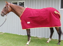 Horse Velvet Show Rug with Embroidered Flower-Navy or Burgundy