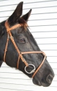 Tolga Equestrian Bridle "Comfort" Fancy, Fig 8, COB-Tobacco Brass Buckles