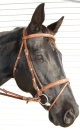 Tolga Equestrian Bridle "Comfort" Combo FULL-Tobacco, Calf Padded, (fancy) Inox Buckles