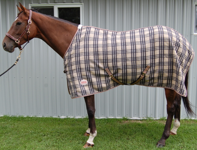 Pony Blankets