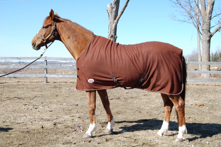 Horse Coolers Fleece