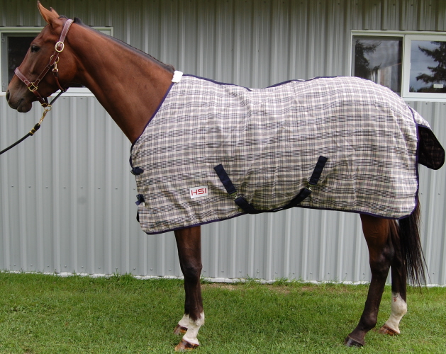 Pony Blankets