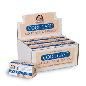 coolcast_lg